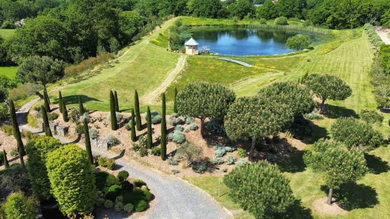 Architectural Plants